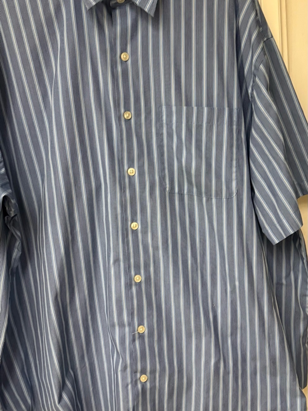 Van Heusen Blue Striped Short-Sleeve Button-Down Shirt
